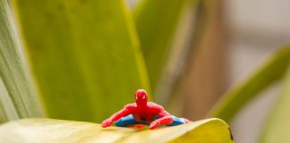 Spider-Man In the Garden