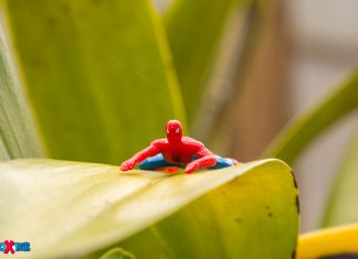 Spider-Man In the Garden