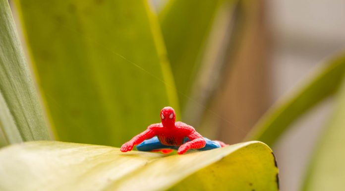 Spider-Man In the Garden