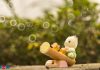 The Sylvanian kitten play outside