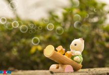 The Sylvanian kitten play outside