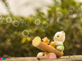 The Sylvanian Baby Cat Plays Outside The Sylvanian kitten play outside