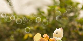 The Sylvanian kitten play outside