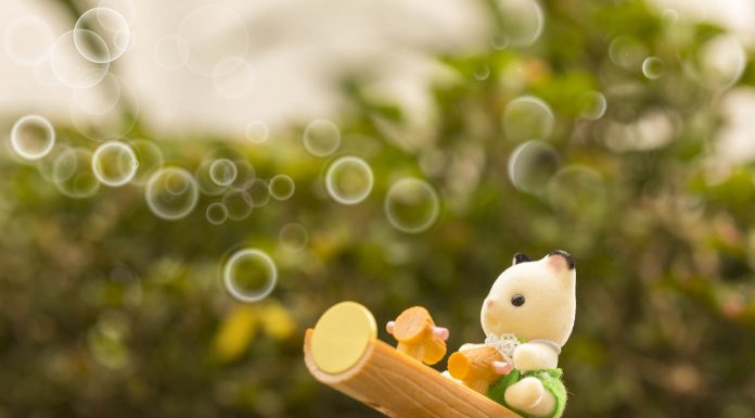 The Sylvanian kitten play outside