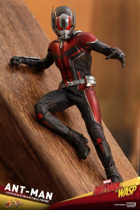 Hot Toys Ant-Man Collectible Figure Ant-Man and The Wasp