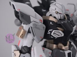 Bandai MG Sinanju Stein Full Painted Build