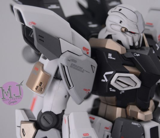 Bandai MG Sinanju Stein Full Painted Build